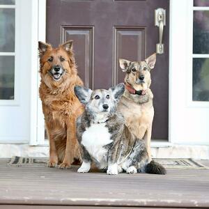 Fundraising Page: Rachel Hoke